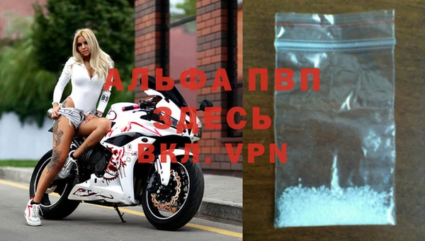 амф Надым