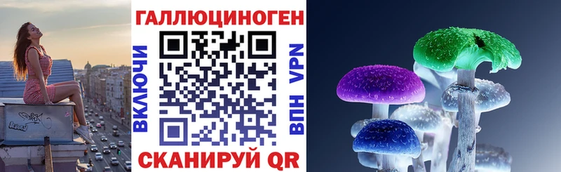 Галлюциногенные грибы Psilocybine cubensis  Нерчинск 