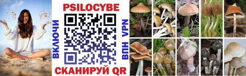 Галлюциногенные грибы Psilocybine cubensis Нерчинск